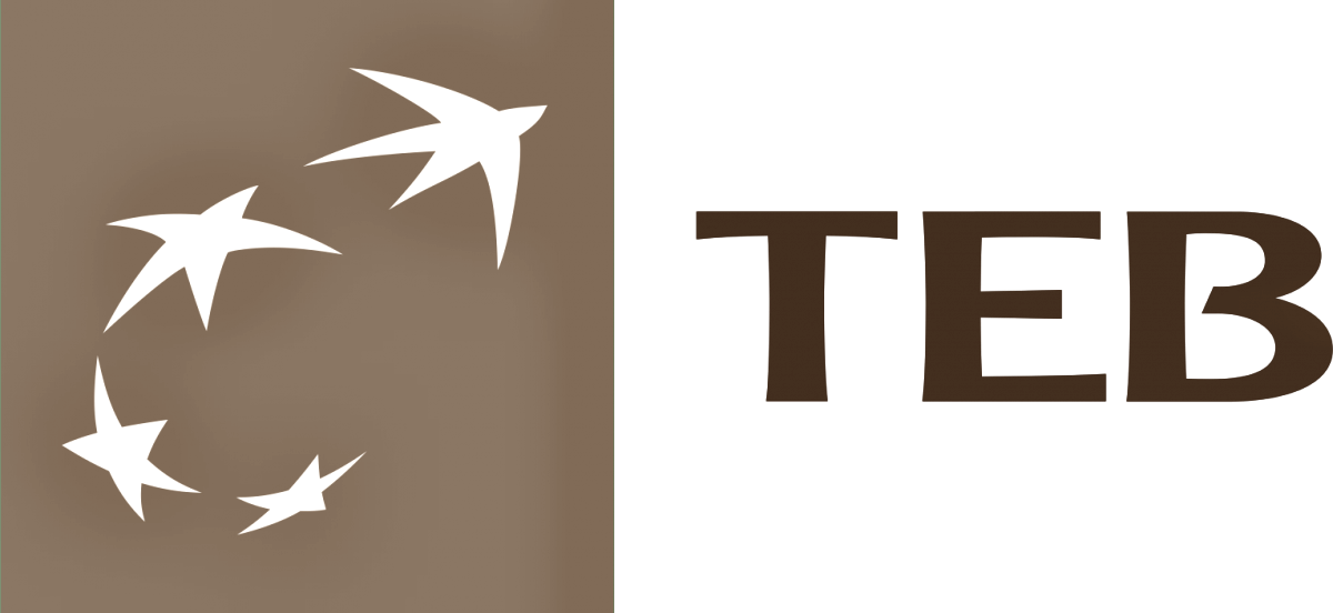 TEB (Türk Ekonomi Bankası) Logo